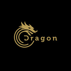 Fototapeta premium Dragon logo design vector template
