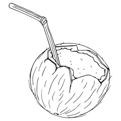 Coconut with a cocktail straw icon. Vector illustration of a broken coconut with a decorative umbrella for cocktails. Hand drawn coconut with straws for cocktails.