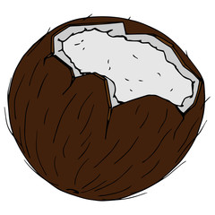 Coconut broken icon. Vector illustration of coconut nut. Hand drawn cartoon coconut. Chopped hairy nut.