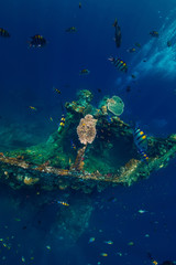 Underwater view in tropics with fish at shipwreck