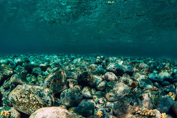 Underwater scene with stones and clear water. Ocean texture