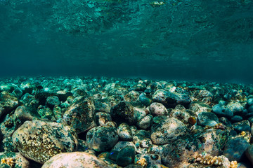 Naklejka na ściany i meble Underwater scene with stones and clear water. Ocean texture
