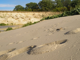 Deep footprints in the sand on the river coast at sunset.