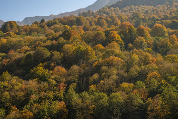 Nature and mountain landscapes of Sochi and Rosa Khutor mountain resort, autumn colors