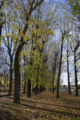 Parques en un día de otoño con sol. 