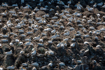 Reportage : Réserve naturelle en Bretagne