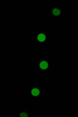 Lichtreflexe