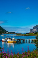Obraz premium boats in the fjord