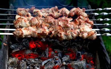 Meat And Vegetable Kebabs On The Hot BBQ Grill. Flaming Charcoal In The Background. Snack For Outdoor Summer Barbeque Party.Family dinner in the open air.