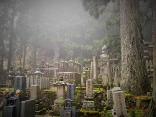 mont koya