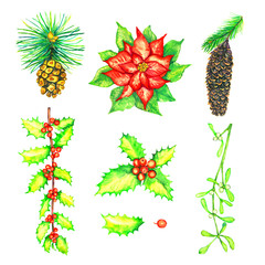 Red poinsettia flower, holly and mistletoe twigs with berries, pine with cones set, isolated on white watercolor illustration