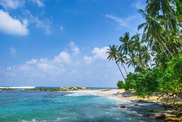 Fototapeta na wymiar Tropical beach background with palm trees
