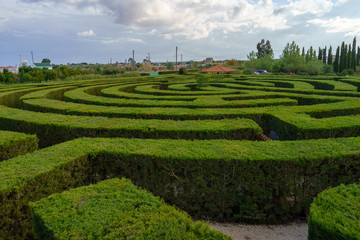Green bushes maze view from above for garden