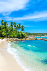 Obraz na płótnie Canvas Tropical beach background with palm trees