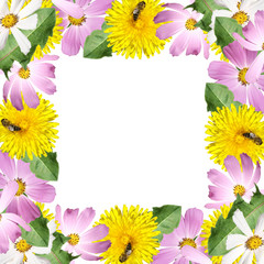 Obraz premium Piękny kwiatowy tło kosmosu i mniszka lekarskiego