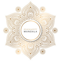 Vector round circle. Mandala style. Decorative element with gold.