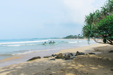 Tropical beach background with palm trees