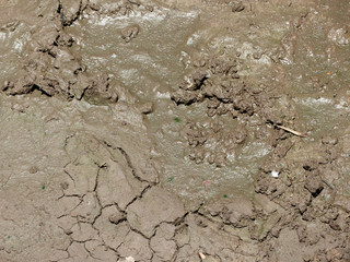mud texture
