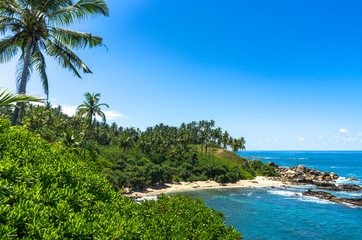 Fototapeta na wymiar Tropical beach in Sri Lanka