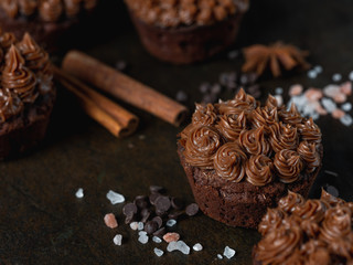 Brown chocolate cupcake with nuts creme, cocoa and cinnamon spices on dark background.