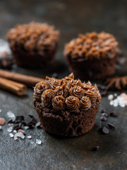 Chocolate cupcake on dark background.
