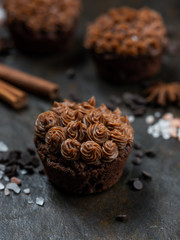 Brown chocolate cupcake with nuts creme, cocoa and cinnamon spices on dark background.