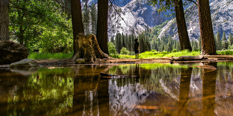 Man near a creek in Yosemite CA on a sunny day
