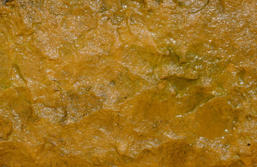 wet sandstone texture