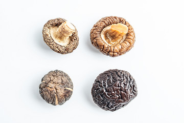 Dried and wet contrast picture of money mushroom