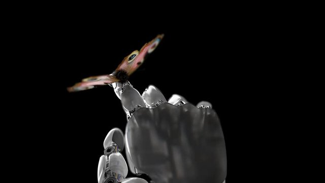 Robot Hand and Butterfly on a Black Background. Beautiful 3d animation. 4K.