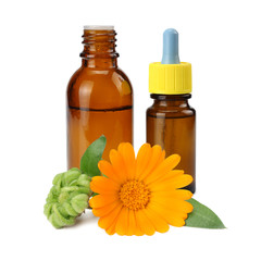 bottle with marigold oil with marigold flowers isolated on white background. calendula flower.