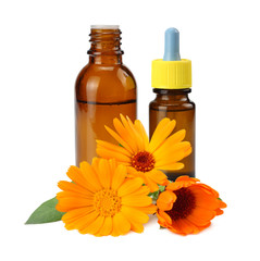 bottle with marigold oil with marigold flowers isolated on white background. calendula flower.
