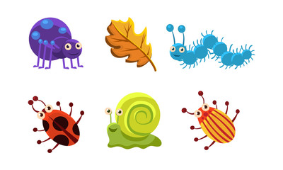 Flat vector set of insect and autumn leaf. Cute snail, colorado beetle, spider, ladybug and caterpillar