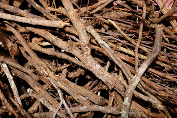 Pile of tree branches composition as a background texture