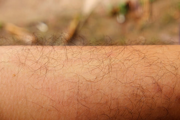 Mans hairy leg closeup