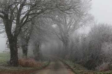 L'hiver rencontre des chemins de campagnes
