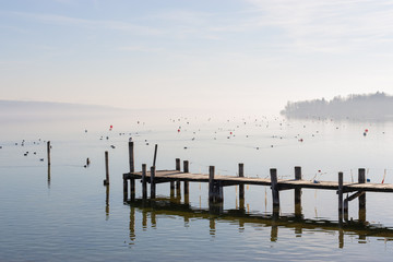 Obraz premium Steg am See mit Bojen