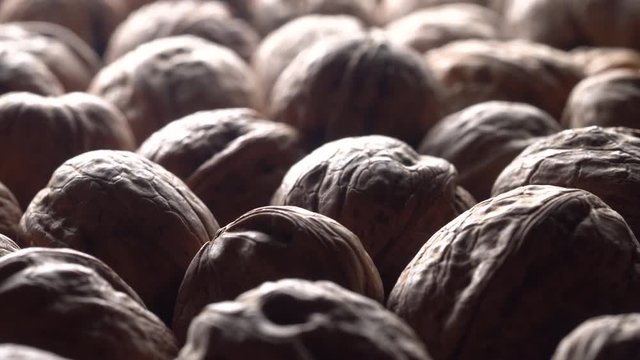 Walnuts in nutshell. Rotation. Closeup. Selective focus. Healthy food concept.
