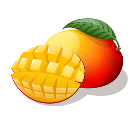Mango. Vector illustration.