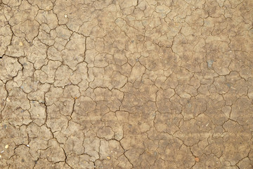 cracks in the ground