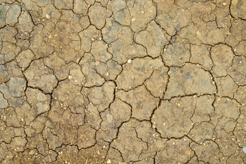 cracks in the ground