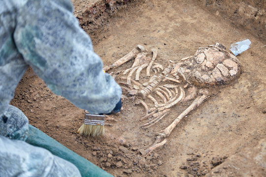 Archaeological excavation. The hands of archaeologist with tools (brush) conducting research on human bones (tomb), part of skeleton from the ground. Close up image of real process. Outdoors.