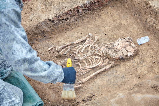 Archaeological excavation. The hands of archaeologist with tools (brush) conducting research on human bones (tomb), part of skeleton from the ground. Close up image of real process. Outdoors.