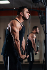 Muscular man during a workout at the gym trains the triceps