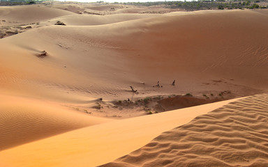 Fototapeta na wymiar Beautiful untouched and vast sand dune.