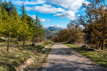 Rural Mountain Road in Southern Italy
