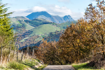 Rural Mountain Road in Southern Italy