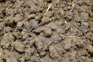 Soil texture