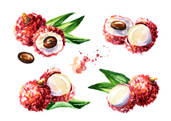 Fresh lychee fruits set. Watercolor hand drawn illustration  isolated on white background