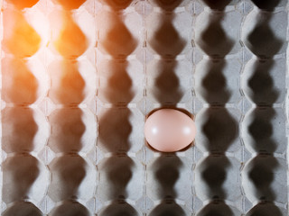eggs in egg tray on a black background